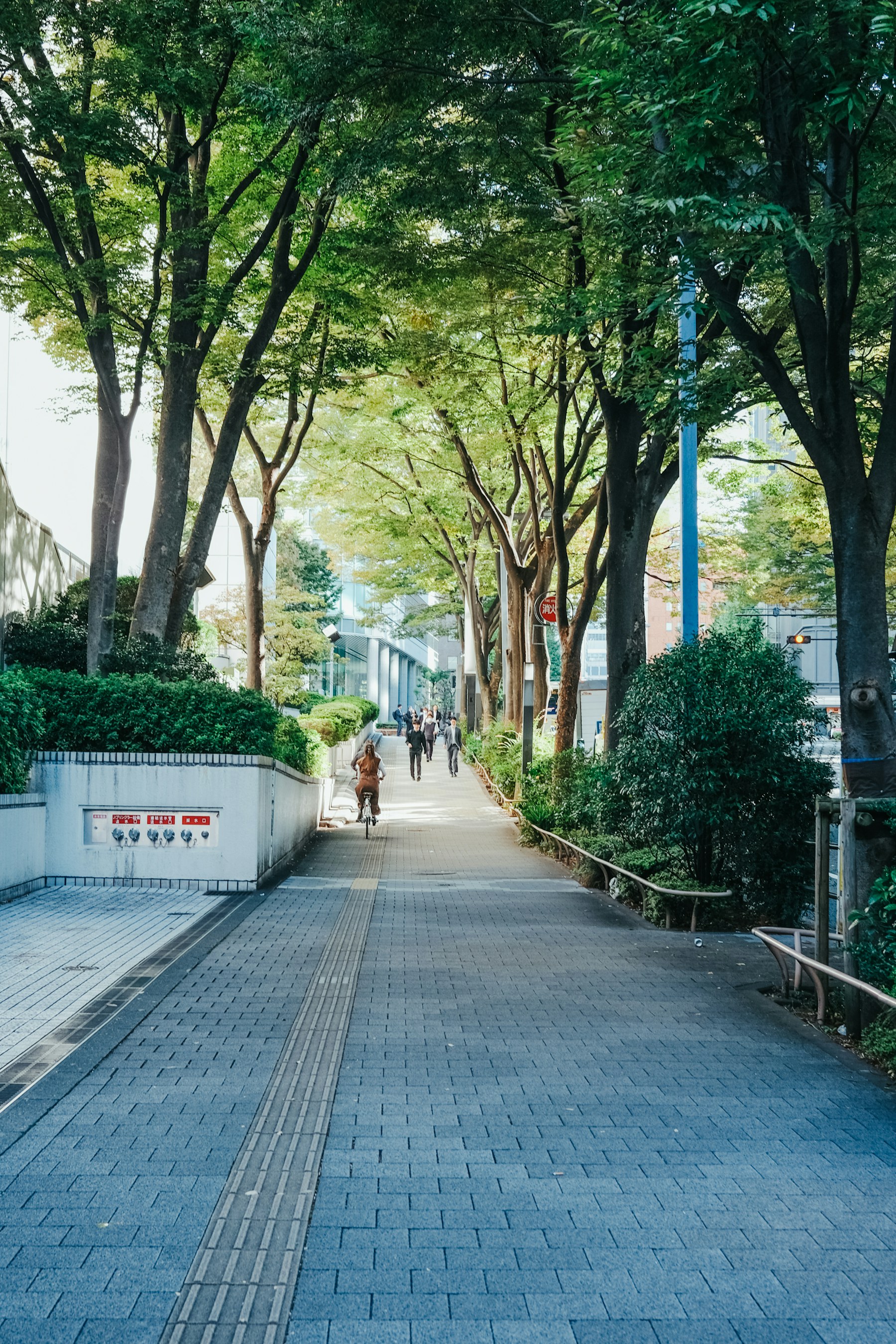 緑と人が行き交う東京の街並み